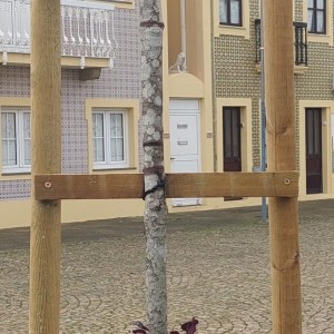 Instalação de novas plantas.jpg II.jpg III.jpg IV.jpg V